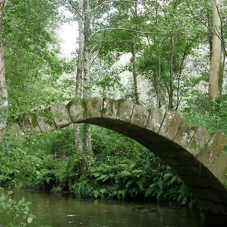 Rustico Teixoeira *